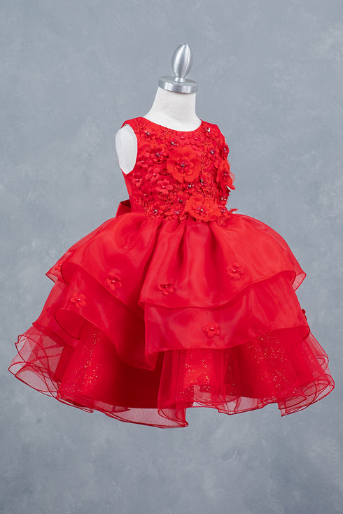 Girls Rhinestone Accent Floral Applique Special Occasion Dress 2-12